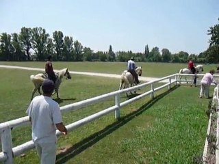 Journée camarguaise DA Arles : La Manade Albert Chapelle