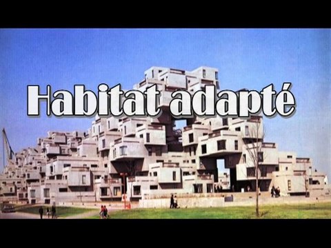 Habitat adapté ou la folie des grandeurs