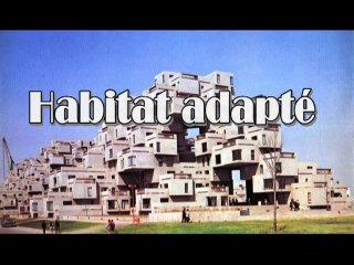 Habitat adapté ou la folie des grandeurs