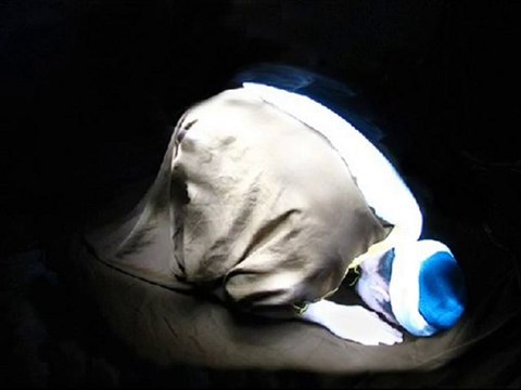 Zindandan Mehmede Mektup Şiir Necip Fazıl KısaKürek