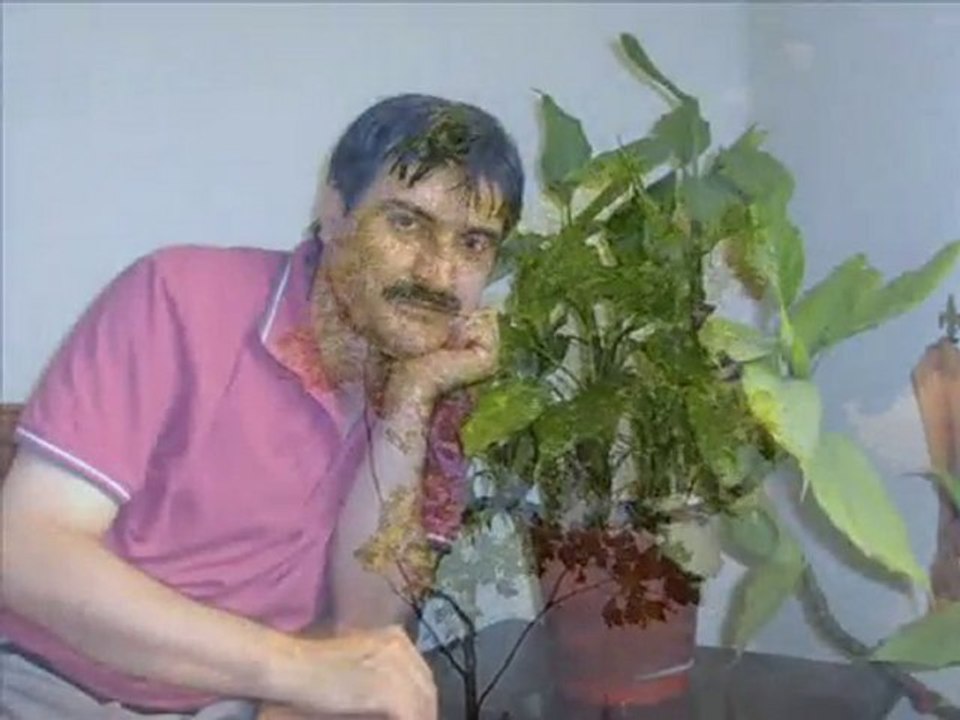 zeki MÜREN -bulamazsın-