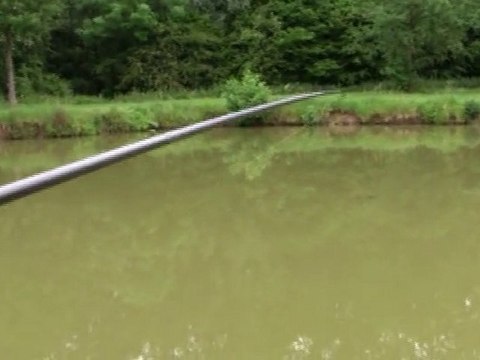 journée peche à la carpe au coup (carpe max : 7kg) 1/3