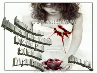 berdan mardin kurşun yarası