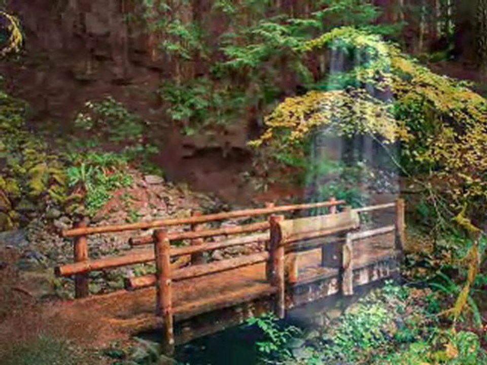 La nature dans tous ses états