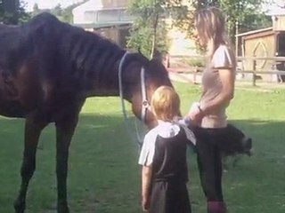 Kanguro cheval le seau: le Grand Bonheur