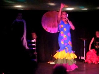 ELENA FERNANDEZ BUGLIANI Y SU CUADRO ARTÍSTICO CULTURAL