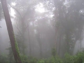 Nevoeiro de Sintra: Calmaria e Mistérios 🌫️ - thumbnail