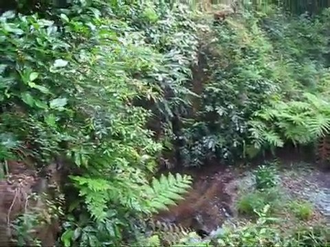 Hippocrene e Cascata de Beckford em Monserrate, Sintra