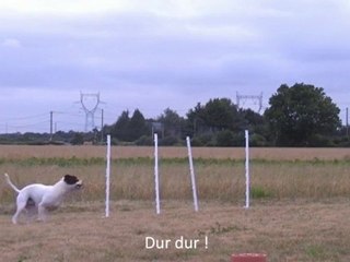 Slalom 2010-7-12 bis