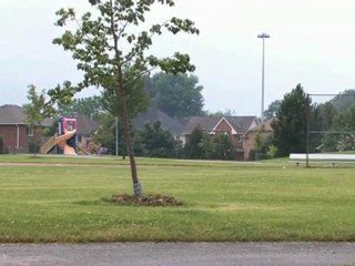 Lori Myers  Bolton- Alago Video, Real Estate