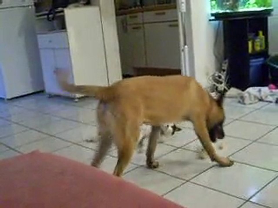 Fidji tourne tourne et tourne