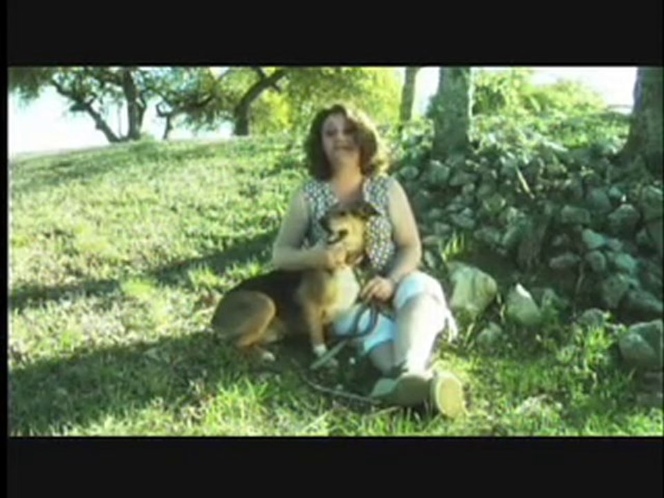 What a dog can teach you about God