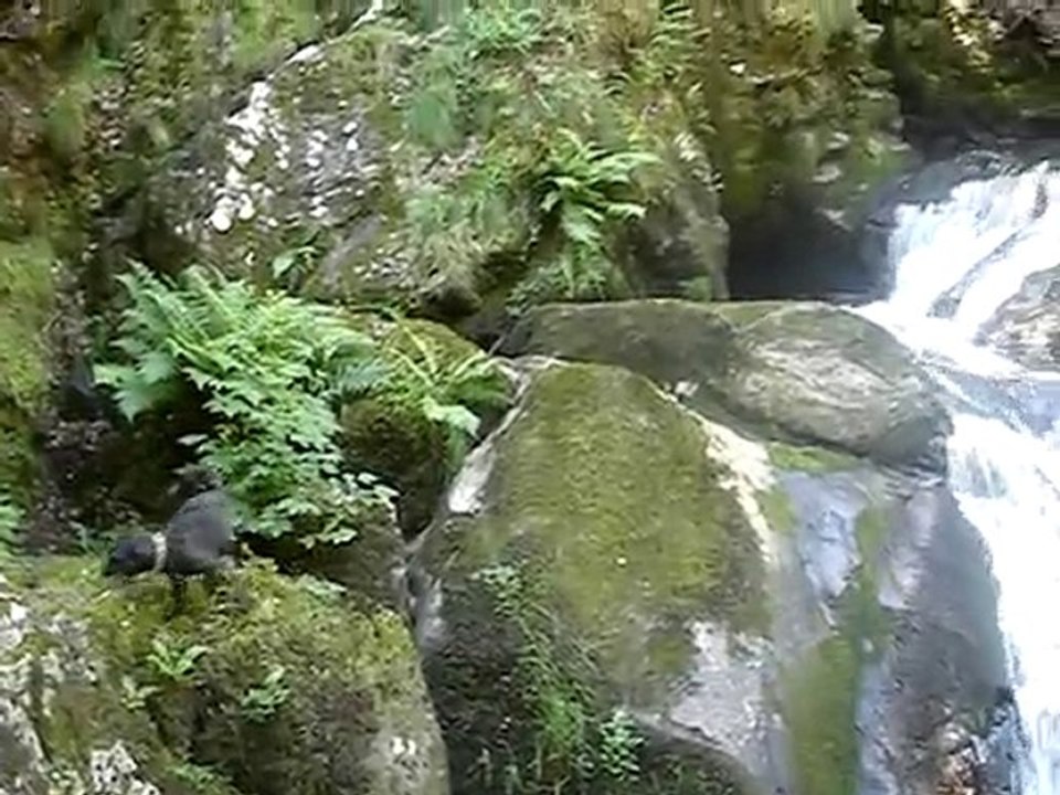cascade mouline