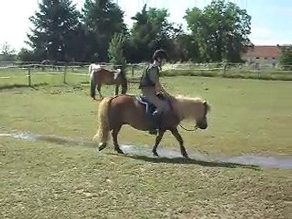 Echauffement CSO préparation Galop 5 stage 12/07/2010