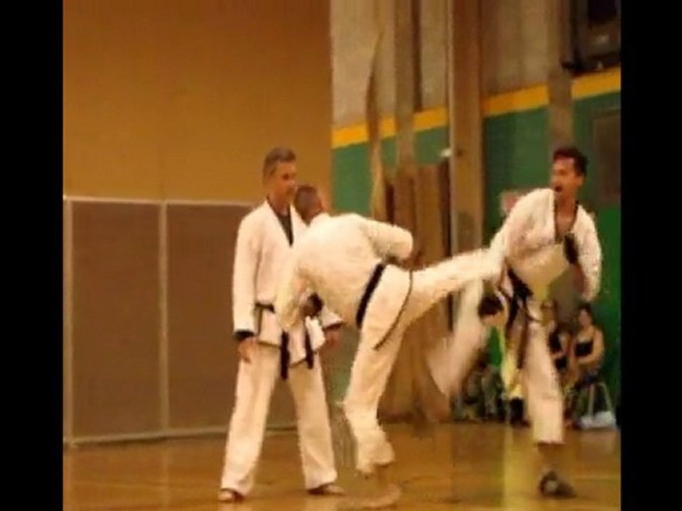 Black Belt Exam  June 2010 Kumite (3)