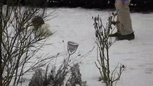 Leila a la neige_0001