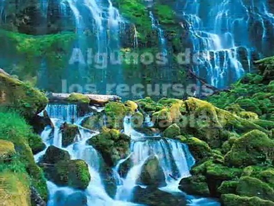 Los Recursos Naturales