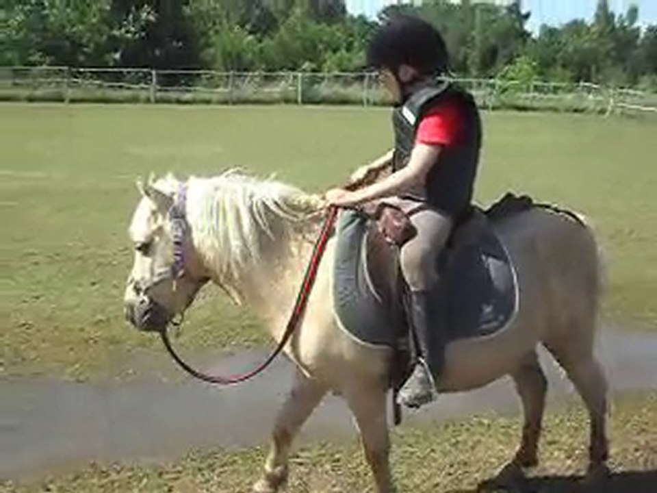 Échauffement CSO préparation Galop 5 stage 12/07/2010.