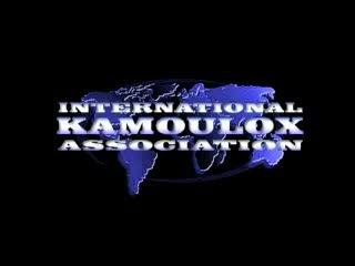 Le Kamoulox - Demi-finale