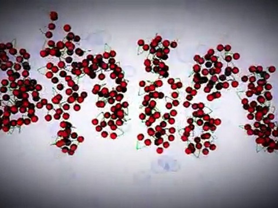 reel 1