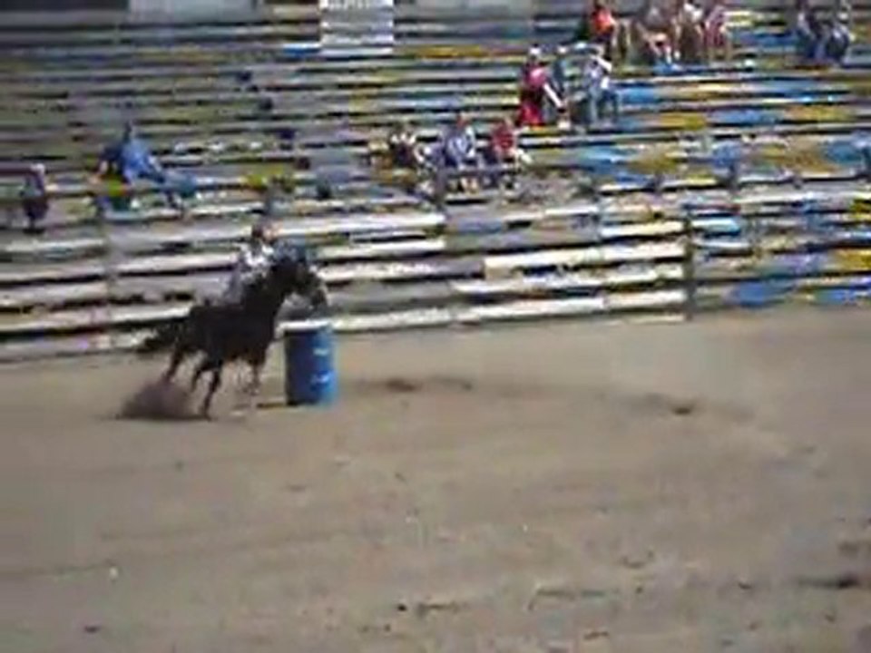 trois bidons la fille et son cheval bai brun