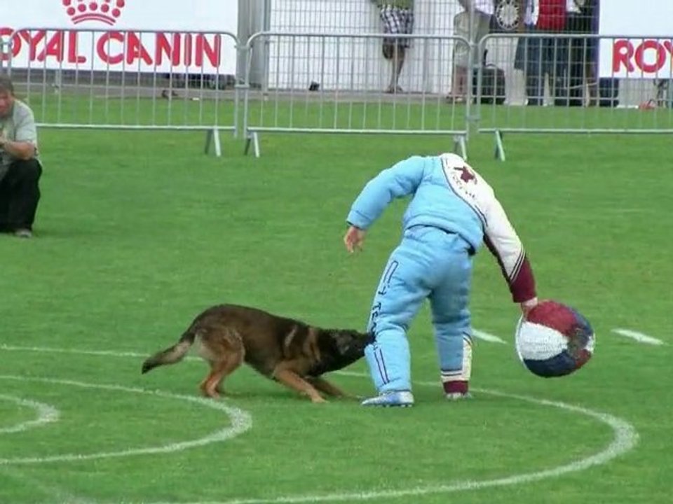 Cara, Unik, Thor, Balkan, finale Ring Mauguio 2010