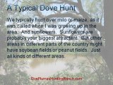 Corporate Dove Hunting: A Typical Dove Hunt