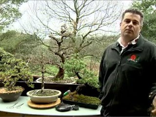 MA BOITE A OUTILS - Spécialiste du jardin zen