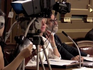 Chasse aux papillons au conseil municipal (Lyon)