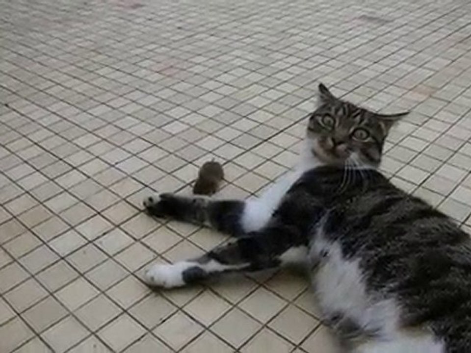 La petite souris