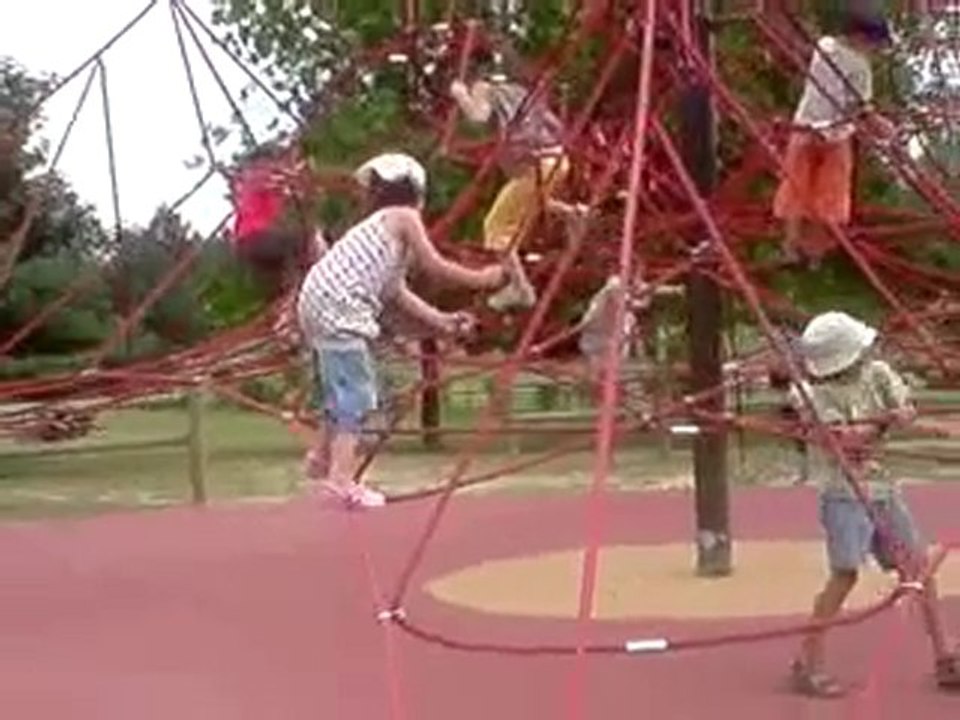 l arraignée de la ramée