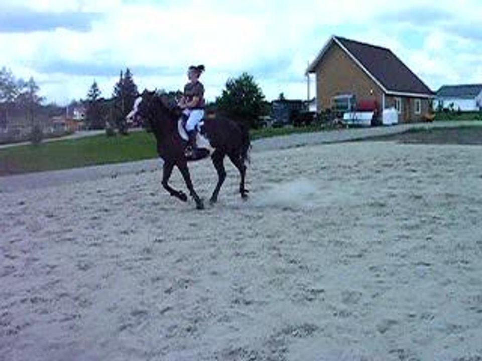 julie3