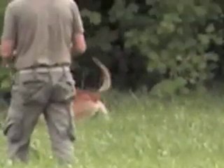 Mecberger EEMELI  IPO-1 Abt. A