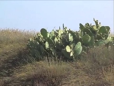 Plage Camping Le Soleil Argeles