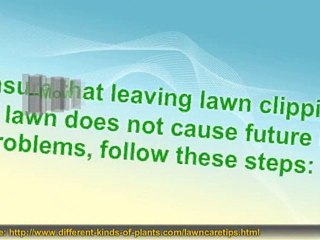 Are Grass Clippings Good Or Bad For You Lawn?