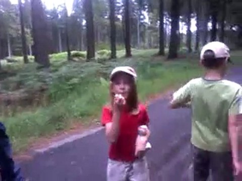 promenade dans le bois