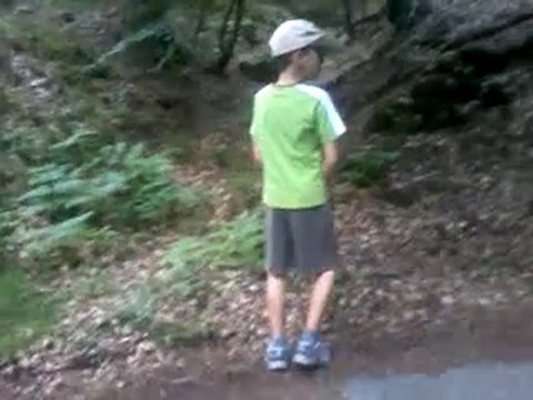 Promenade dans le bois 2