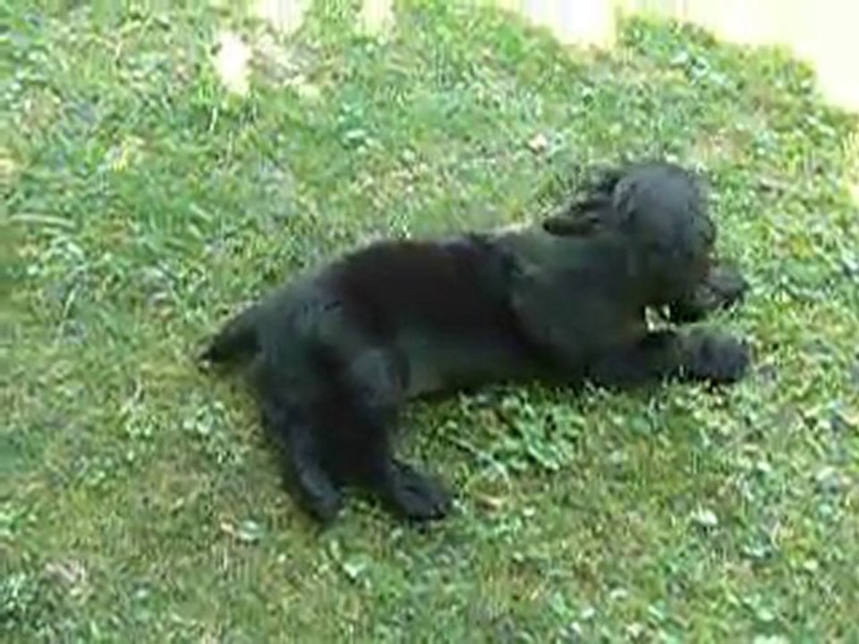 Bébé Findy en viste