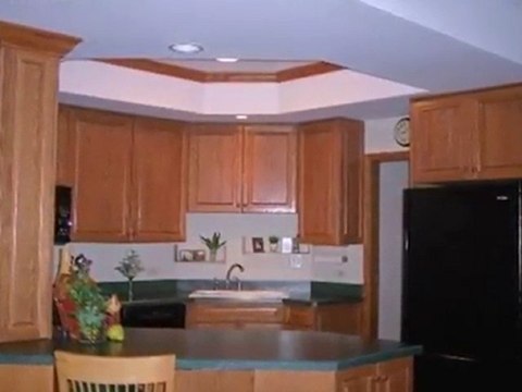 Homes for Sale - 133 N Larch Ave - Elmhurst, IL 60126 - Cold