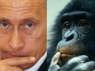 01_Le langage corporel des hommes politiques