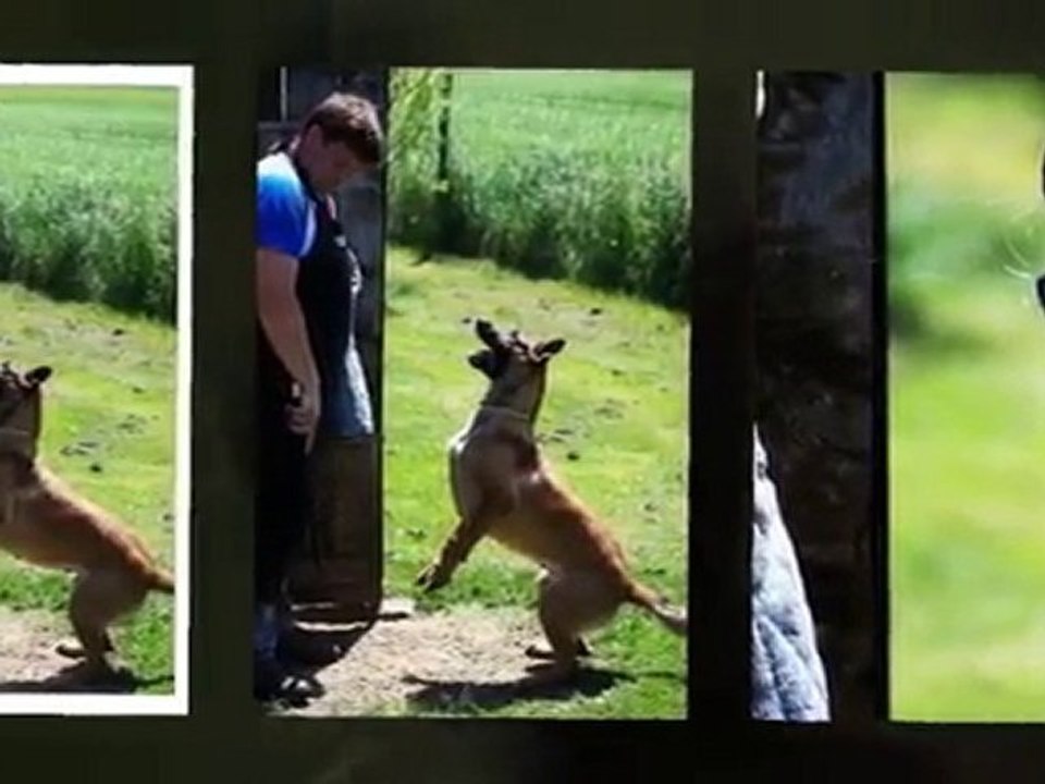 Team 'BE AWARE'  IPO-Prüfungen 2010