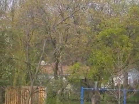 Homes for Sale - Lot 1 Sandholm Street - Geneva, IL 60134 -