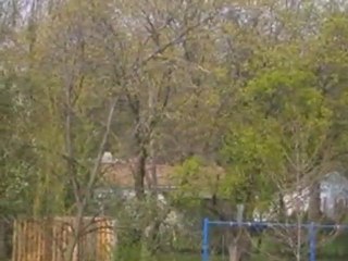 Homes for Sale - Lot 1 Sandholm Street - Geneva, IL 60134 -