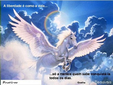 JOSÉ CARLOS SANTOS SILVA recita José Régio