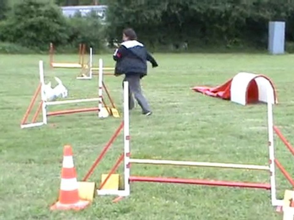 jumping happy