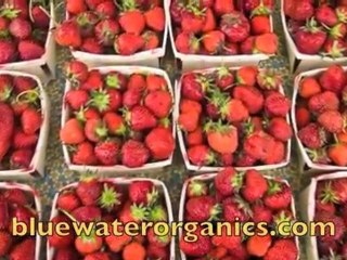 Chef George at the Birmingham Farmers Market with his cookb