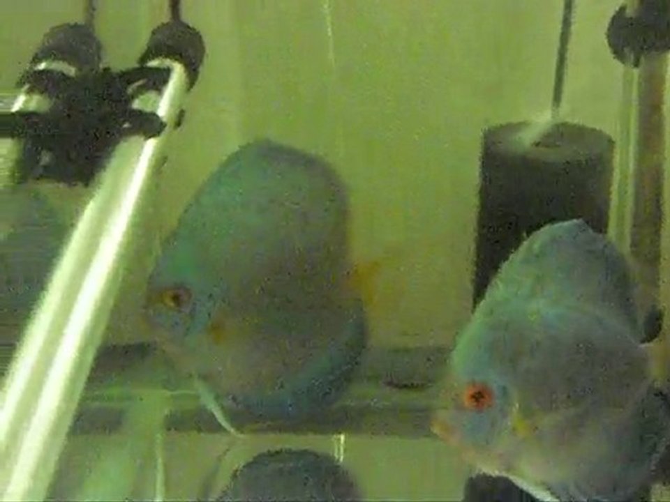 CIMG1151