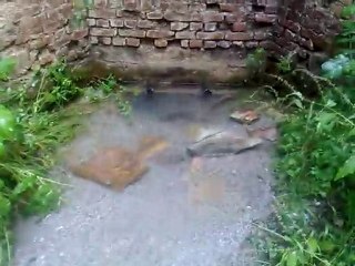 KIRKLARELİ KOFÇAZ KOCAYAZI KÖYÜ HARİKA ÖTESİ DOĞA