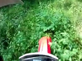 Sortie du 11 juillet 2010