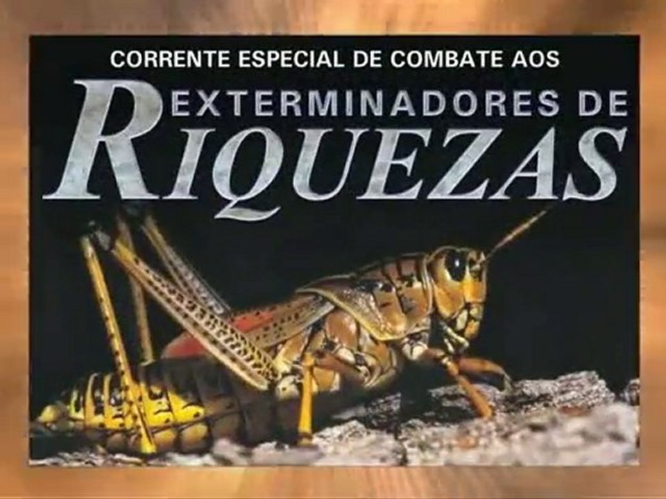 Exterminadores de Riquezas